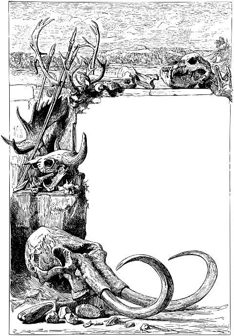 frame-border-bones-skeletons-death-7426368
