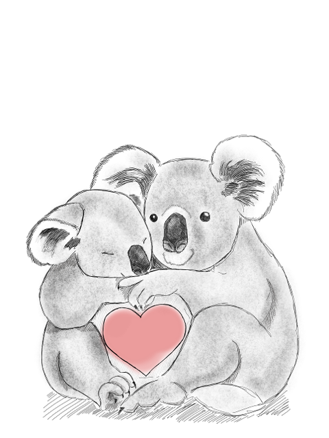 koala-hug-love-heart-koala-bears-7016629