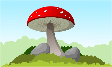 mushroom-nature-moss-fungus-fall-10016543