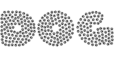 dog-paw-prints-animal-typography-7872360