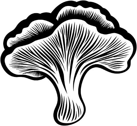 plant-dxf-plant-vector-dxf-file-8981864