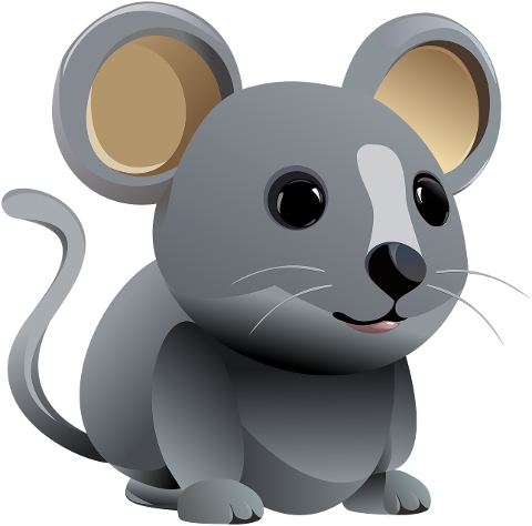 mouse-rodent-field-mouse-mammal-8830844
