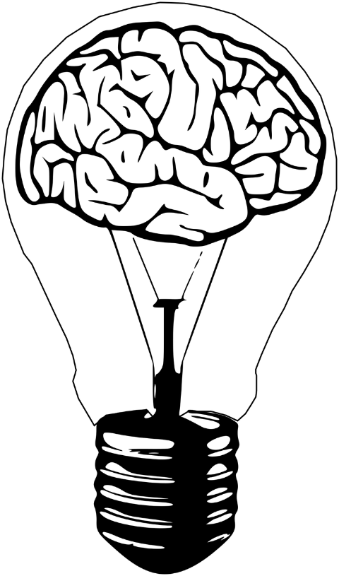 bulb-light-brain-light-bulb-idea-6232890