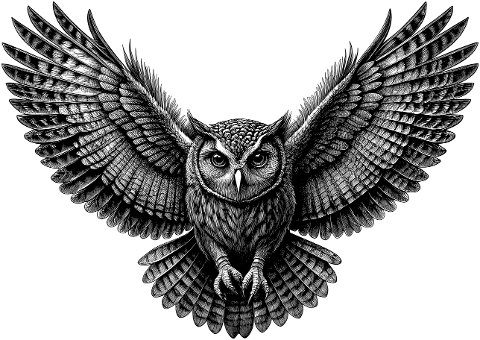 ai-generated-owl-bird-animal-8928310