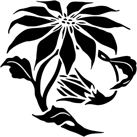 flower-art-plant-flourish-line-art-7693303