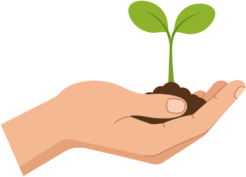 plant-gardening-growth-hand-9634534