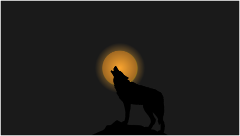 wolf-moon-animal-moonlight-7745234