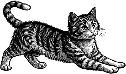 ai-generated-cat-kitten-feline-pet-9059902