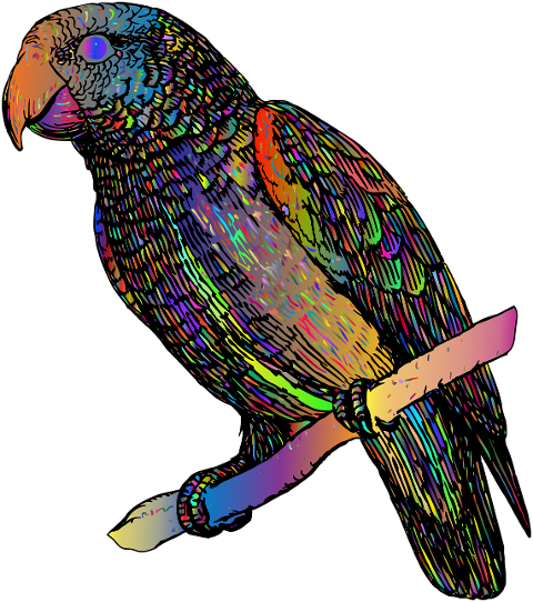 parrot-bird-animal-perched-6474334