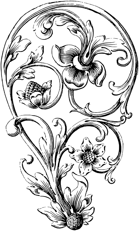 design-flourish-line-art-decorative-7330295