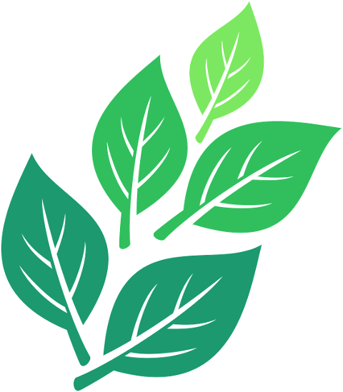 green-leaf-plant-nature-spring-9850204