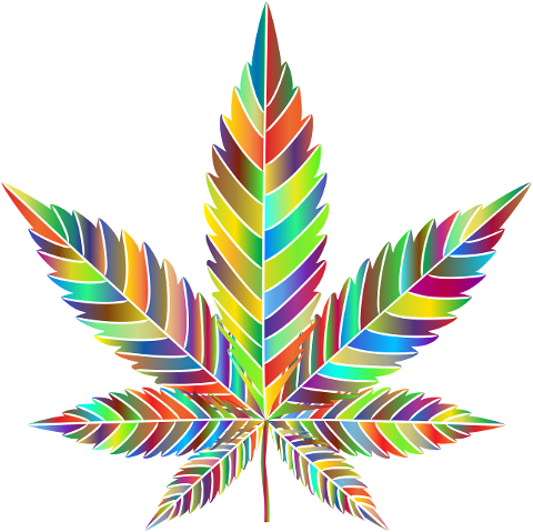 marijuana-leaf-drugs-leaves-6064006