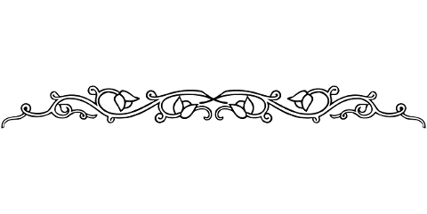 divider-flourish-line-art-separator-7736857