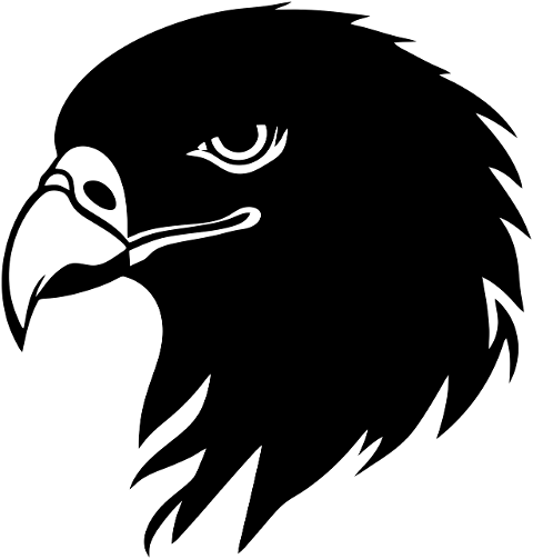 ai-generated-eagle-bird-wildlife-8495204