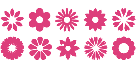 pink-flowers-flowers-cartoon-flowers-7431736