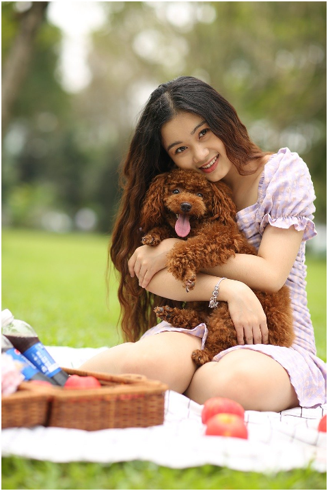 woman-teddy-bear-park-picnic-6062486