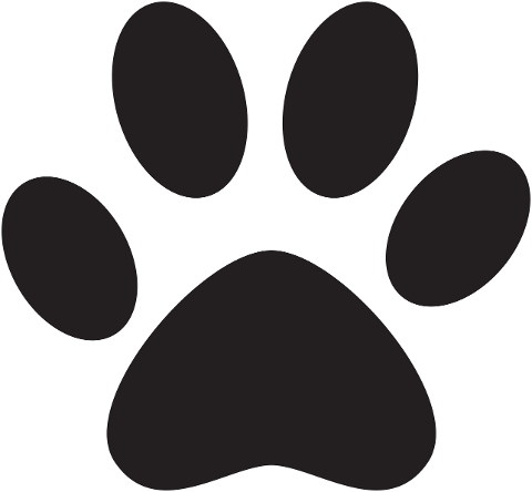 paw-print-dog-cat-animal-pet-5892565