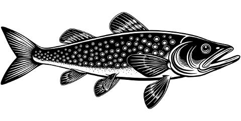 ai-generated-pike-fish-animal-8853396