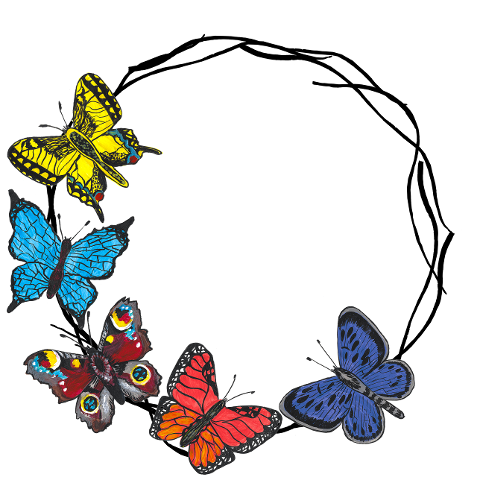 butterflies-butterfly-border-8483754