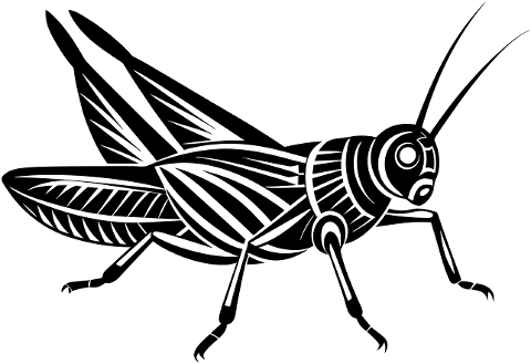 grasshopper-insect-animal-nature-8781719