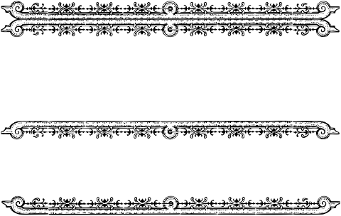 divider-separator-line-art-abstract-7321620