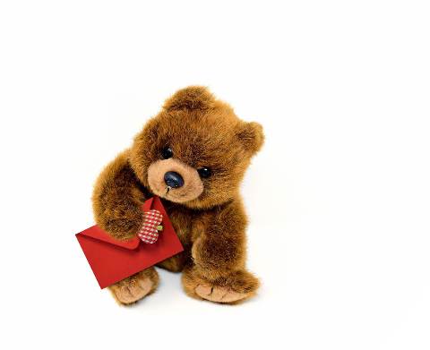 teddy-teddy-bear-plush-animal-cute-6064221