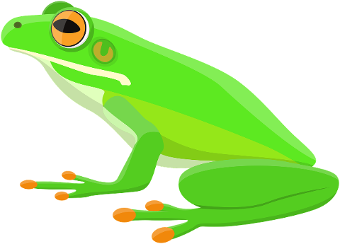 frog-tree-frog-amphibian-animal-8207551