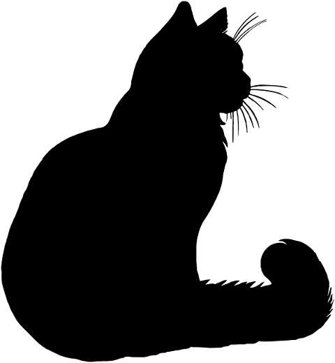 cat-animal-silhouette-feline-pet-8684491