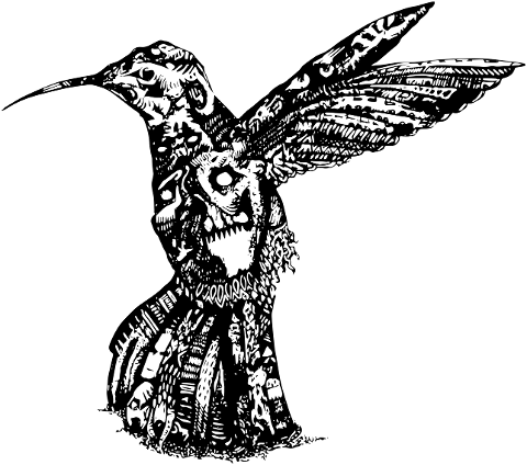 bird-hummingbird-tattoo-animal-6967152