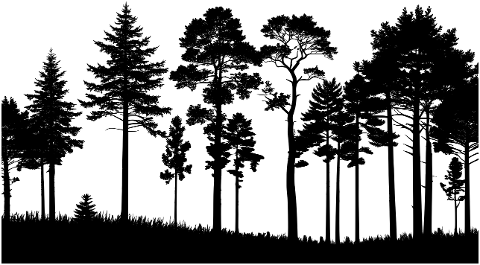 ai-generated-forest-trees-9159952