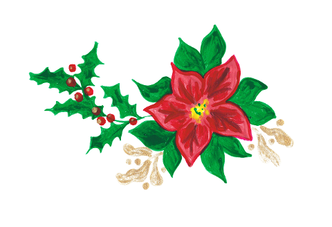 poinsettia-holly-mistletoe-6842771