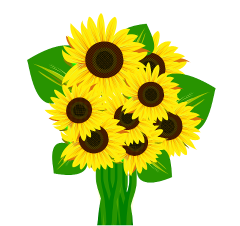flowers-sunflowers-bloom-blossom-6573639