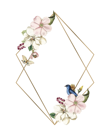 frame-floral-flower-4452579