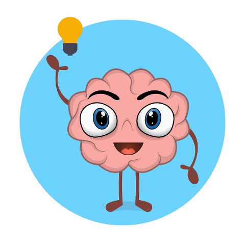 anatomy-brain-brainstorm-8415101
