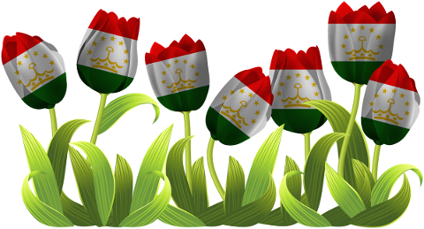 tulips-iran-tajikistan-afghanistan-4926172