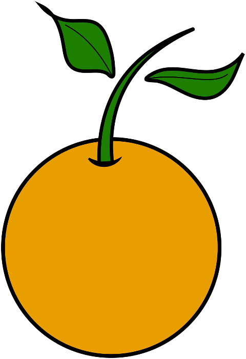 orange-fruit-circle-organic-mature-7314057