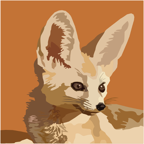 fennec-desert-wildlife-endangered-10429974