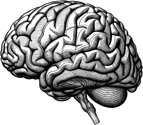 ai-generated-brain-mind-psychology-9026009