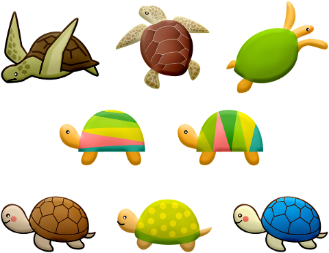 turtle-colorful-ocean-nature-5102690