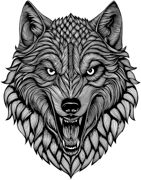 wolf-animal-predator-mammal-canine-9514223