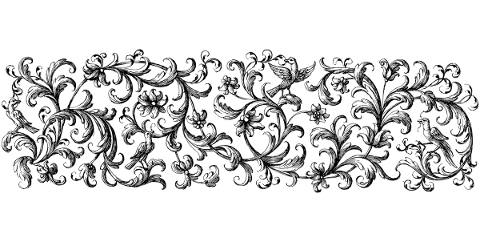 flowers-plant-line-art-floral-5602770