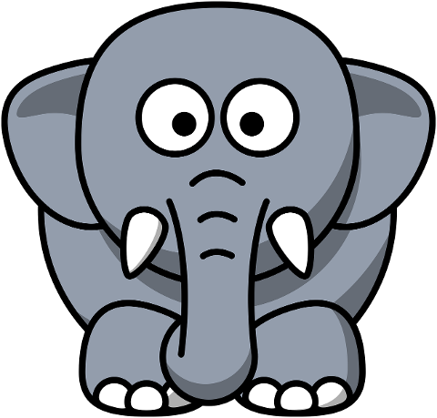 elephant-animal-mammal-trunk-tusk-6396804