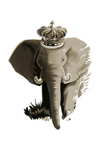 elephant-king-africa-nature-5221244