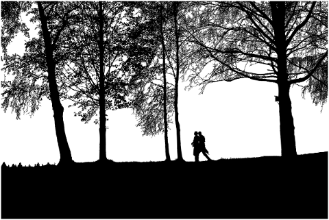 forest-trees-silhouette-couple-5022346