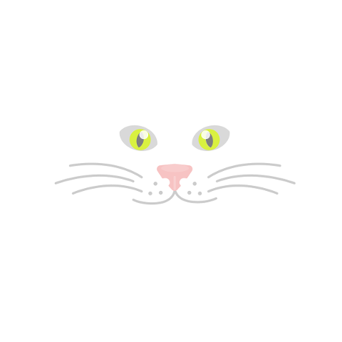 cat-eyes-animal-pet-kitten-face-5430043