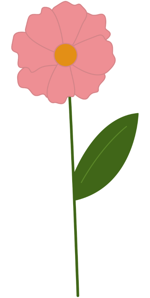 flower-pink-spring-bloom-blossom-8443432