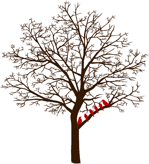 tree-birds-oak-bare-cold-nature-7773082