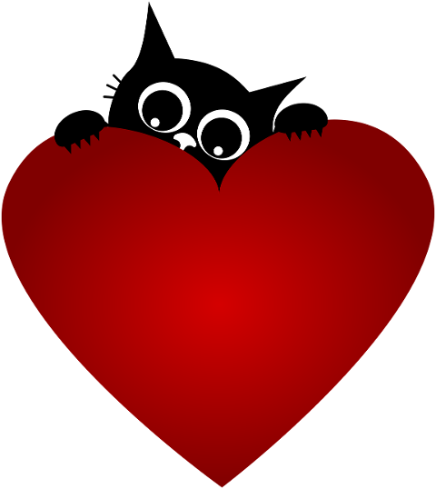 cat-kitten-heart-pet-animal-9299272