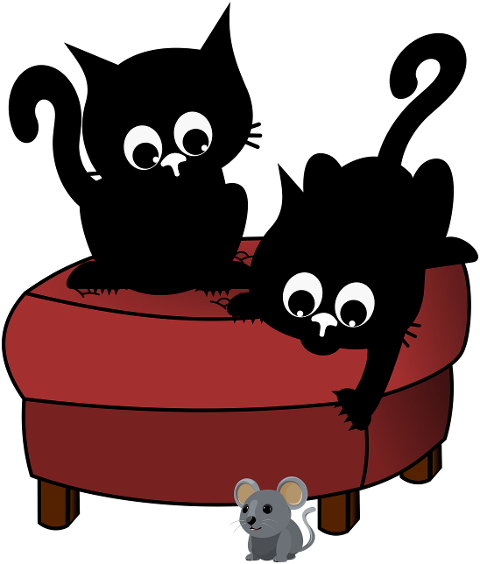 cat-kitten-black-cat-mouse-8830846