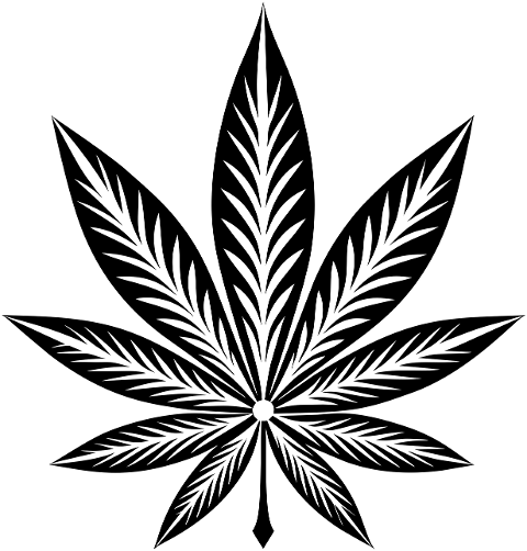 ai-generated-marijuana-drugs-leaves-8899877